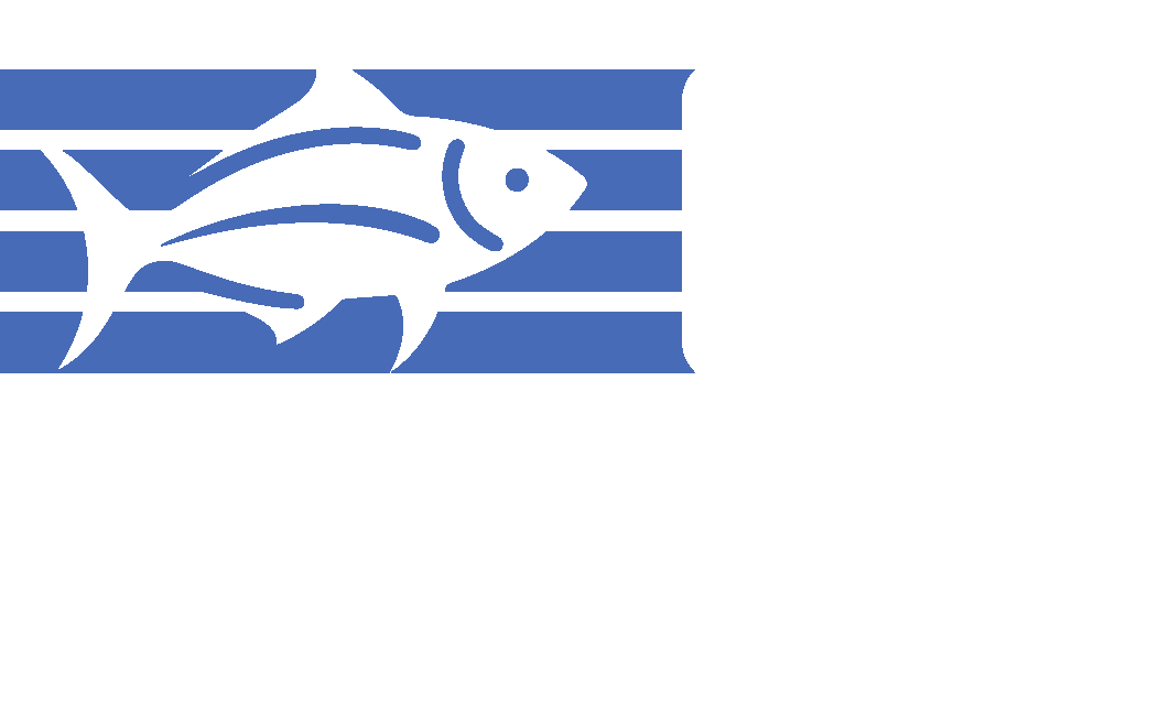 pescado painting-01WHITEBLUE (1) 2 Company logo